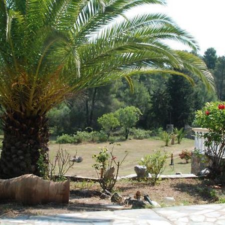 Panormos Palace Hotel Luaran gambar